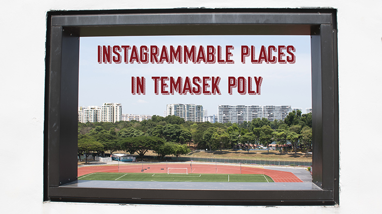 Instagrammable Places in Temasek Polytechnic